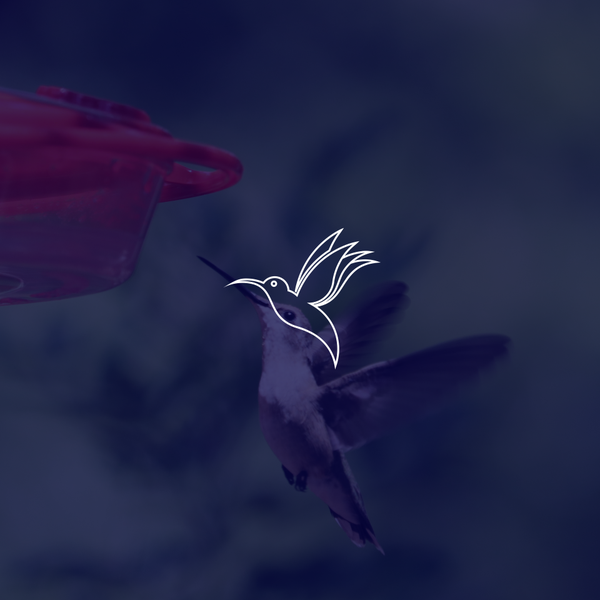 Design by stef emanuel titled "Colibri Air Inc"