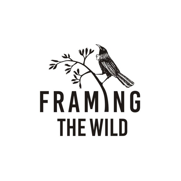 Photography Logo Design