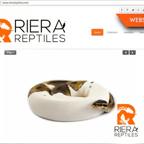 Curated visual reference: Building A Snake Breeding Business Reference: Designs Brand Identity Pack Create An Identity For Snake Breeding