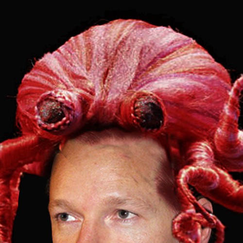 Design the next great hair style for Julian Assange (Wikileaks) Design by Dn-graphics
