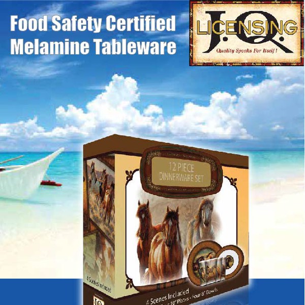 Flyer for Melamine Products