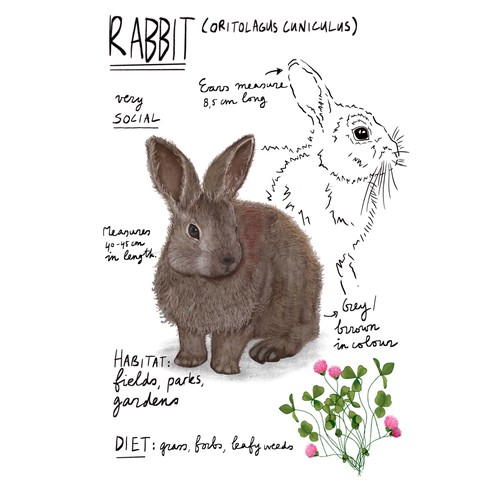 Illustration or graphics contest entry by Patruschka