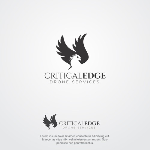 We need a logo design for new Drone inspection and survey company Design by hasnagraphics