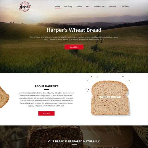 Design-Entwurf in der Kategorie Webseiten-Design von iVizon