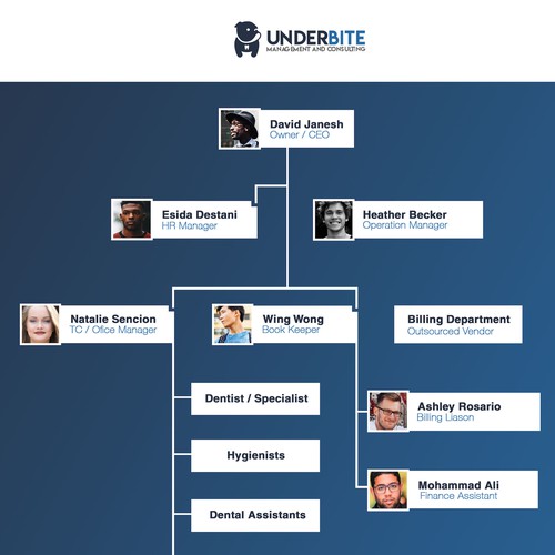 Organizational Chart for Dental Group Design by Noah E.