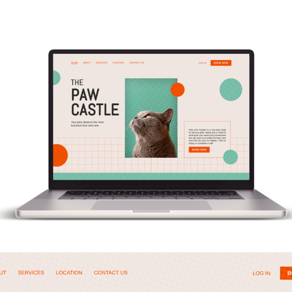  Playful Cat Website Design