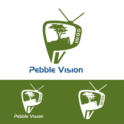 PebbleVision Design by Abacusgrp
