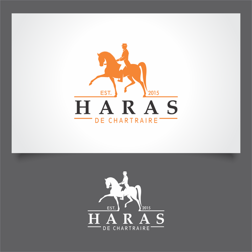  contest entry by Timoftesilvia