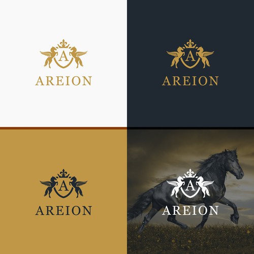  contest entry by Zaladgan