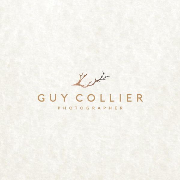 Design by lucidesign titled "logo for Professional, luxe wedding photographer"