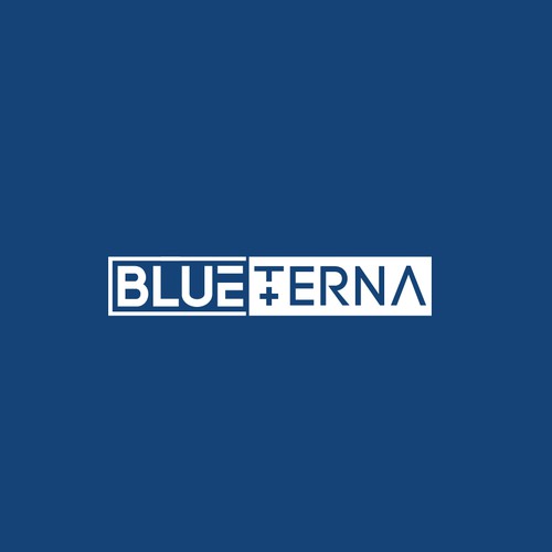 Blueterna Branding contest Design by Imam H.