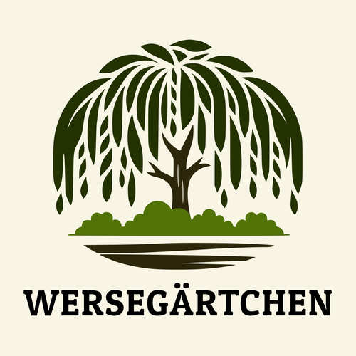  contest entry by ninfaj