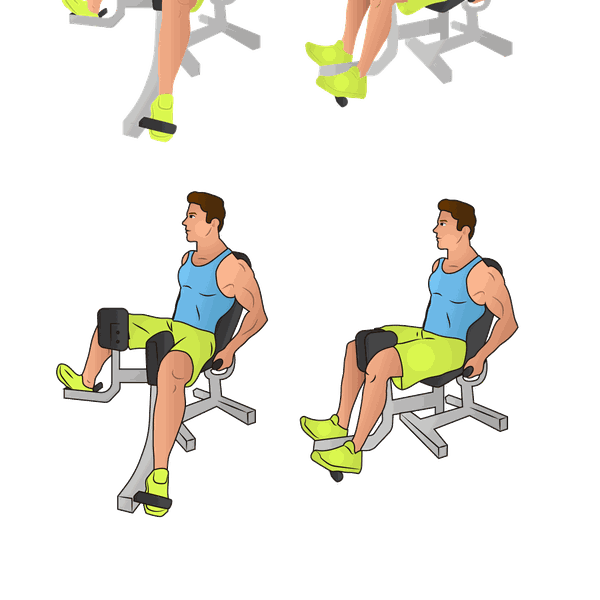 Design by natycm titled "fitness"