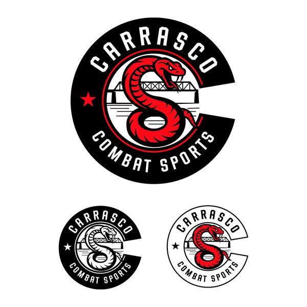 Logo concept for a combat sports gym