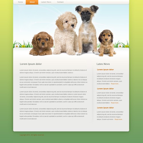 1-3 Page Website Template Design von Bili