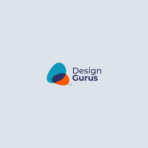 DesignGurus.com  --  NEW AGENCY Design by VisibleGravity™