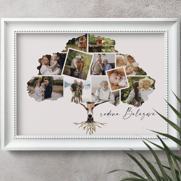 Family tree - photo collage
