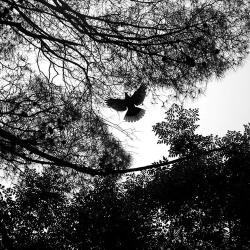 Design Rick Warren's New Book Cover Design by alxndr