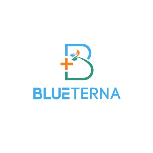 Blueterna Branding contest Design by Imam H.