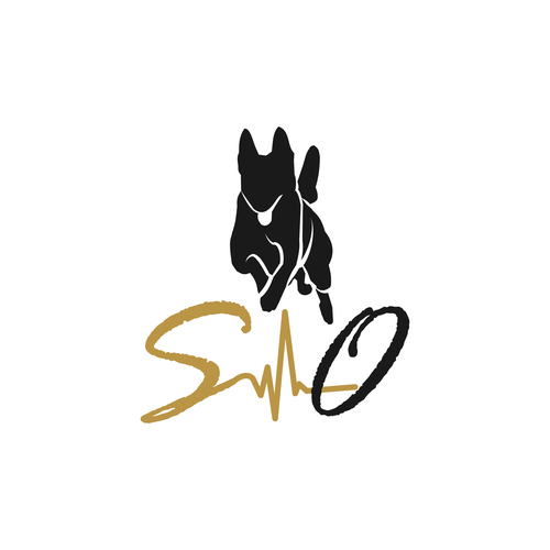  contest entry by Rziko1