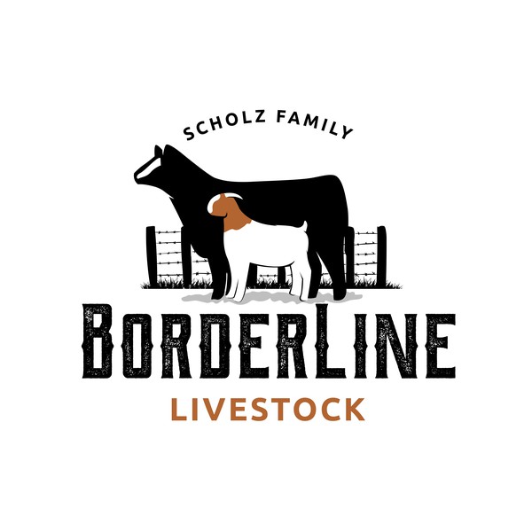 Update blind contest now design a modern wordmark, combination mark