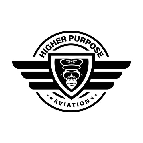 Higher Purpose Aviation Design by surendra1