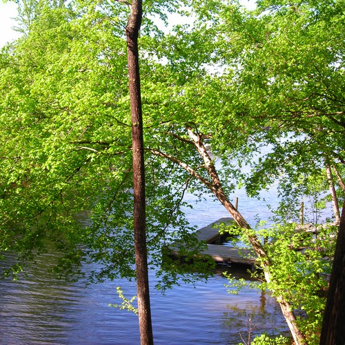 Design Rick Warren's New Book Cover Diseño de danielf