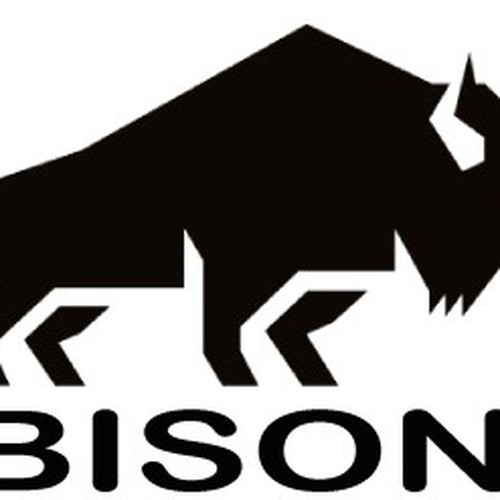 BISON (2).jpg