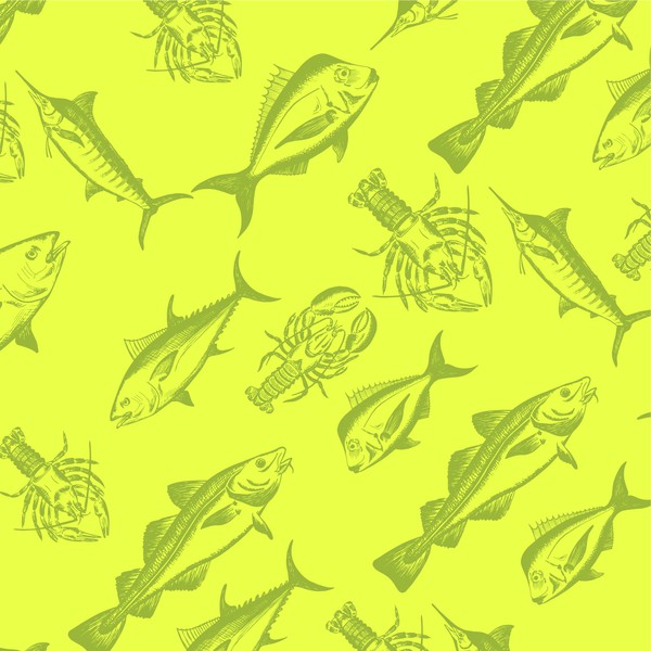 Custom Drawn Fish Illustration