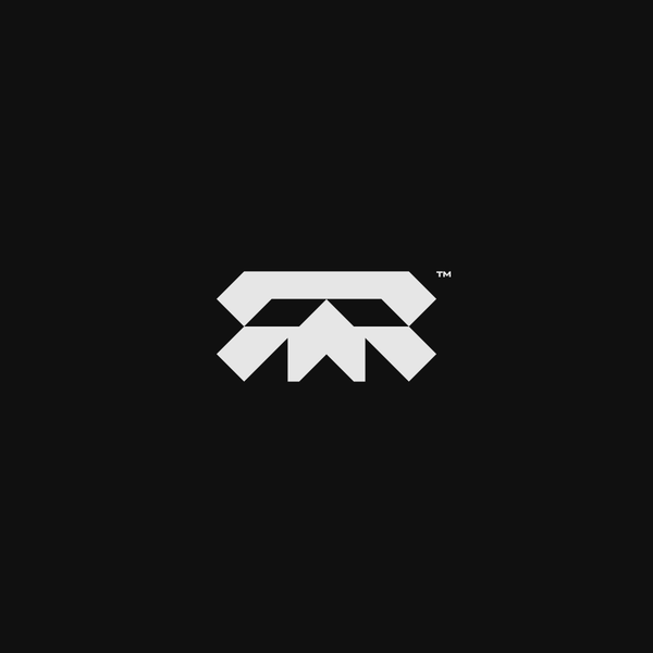 Iconic Modern Skull Logo ///