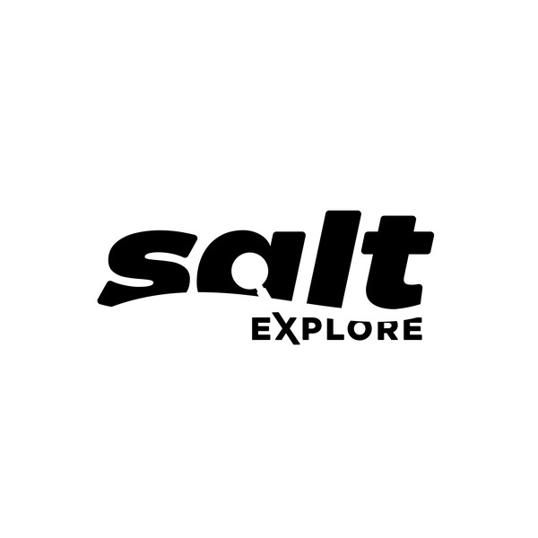 Design by a_nomali titled "Wordmark logo concept"