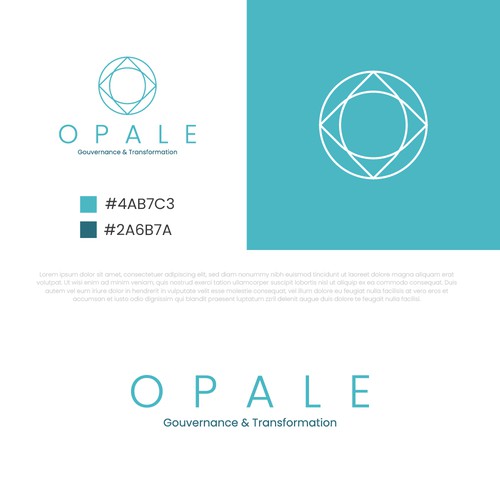  contest entry by Basit Khatri