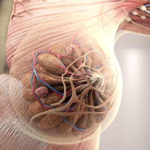 3-D Mammogram Image/Diagram Contest Design by Javad.S