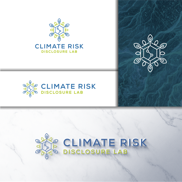 Design by Brigther titled "Climate Risk Disclosure Lab"
