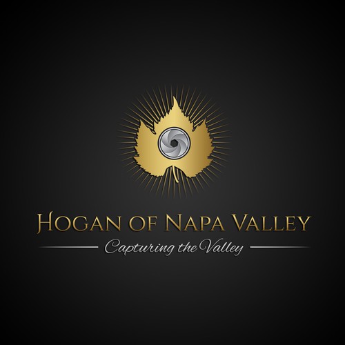 Create a logo that conveys quality landscape photography of the Napa Valley Design by Marina.na