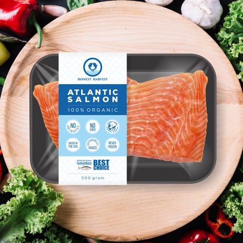 Salmon Filet Packaging for Sustainable 100% Organic Salmon | Product ...