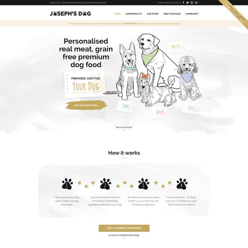 Dog food outlet websites