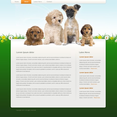 1-3 Page Website Template Design von Bili