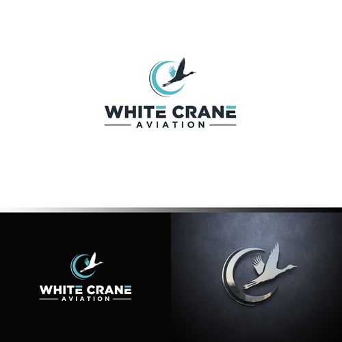 Logo for a Safe and Modern Aircraft rental company Design by ybur10