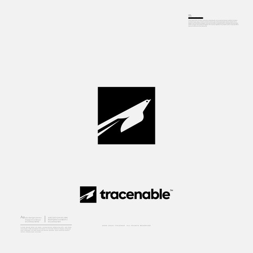 Brand guide for Acme Design by Falenar®