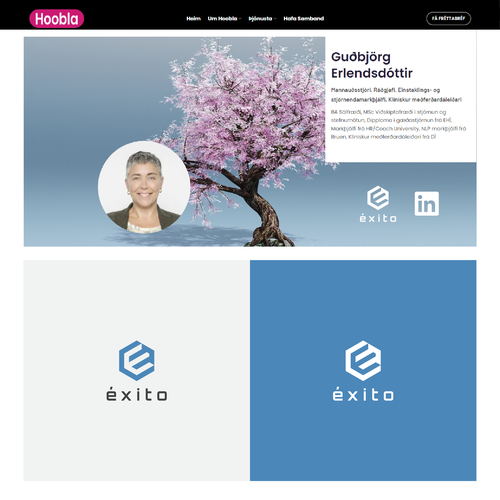 Otros diseños propuesta en el concurso por dzanie