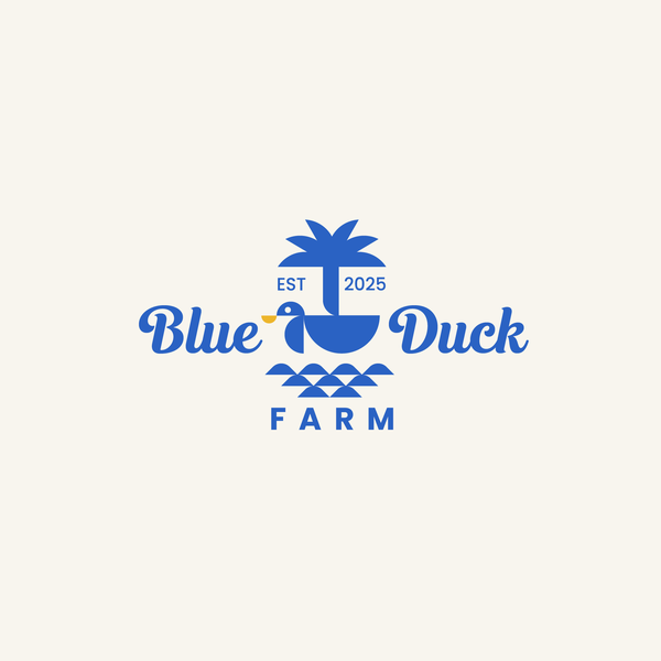 blue duck