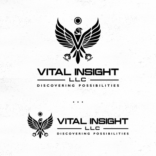 Redesign an Egyptian Image for a New Consulting Firm Design by jimzz