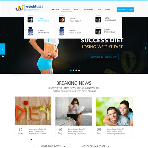 GUARANTEED winner! Design the website of a RISING STAR company! Design by Vishera