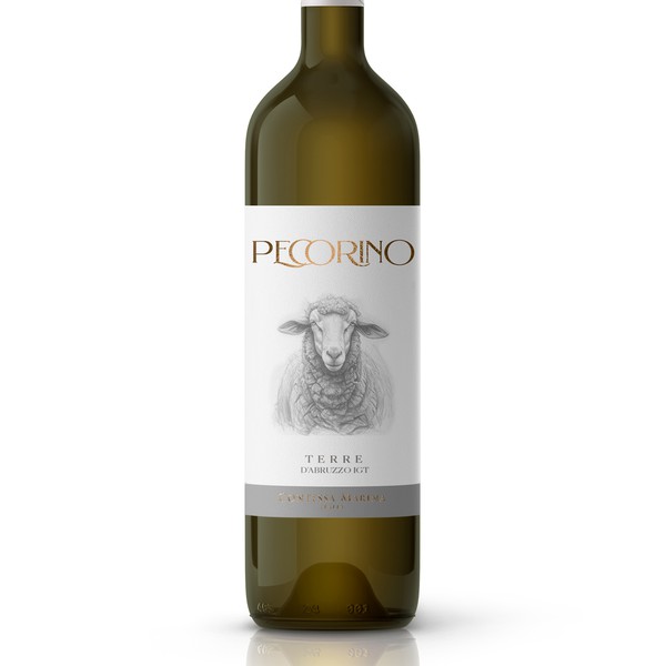 Label for Pecorino Wine