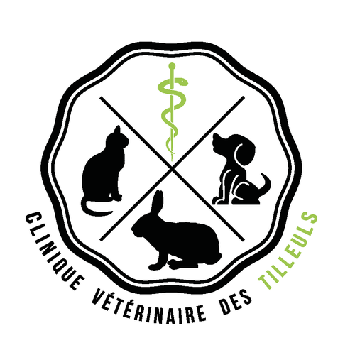  contest entry by Mélanie Moral