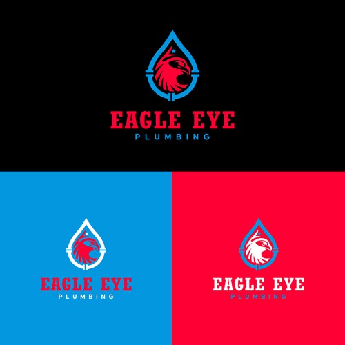 Eye catching and very marketable logo for plumbing company. The company name is Eagle Eye Plumbing Design by Anirban Giri