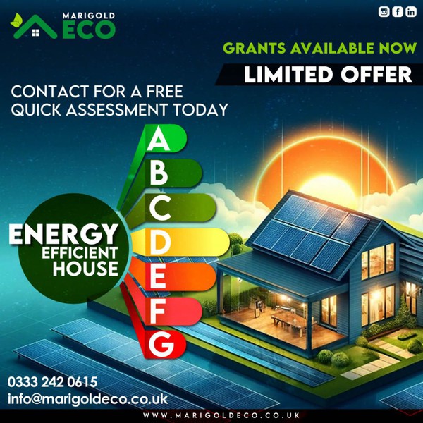 Energy Saving Grants Poster