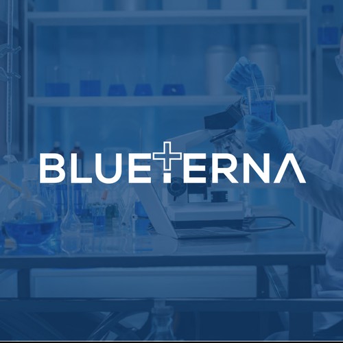Blueterna Branding contest Design by Imam H.