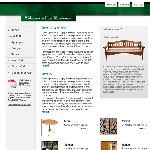 Design of website front page for a furniture website. Diseño de Studio 13